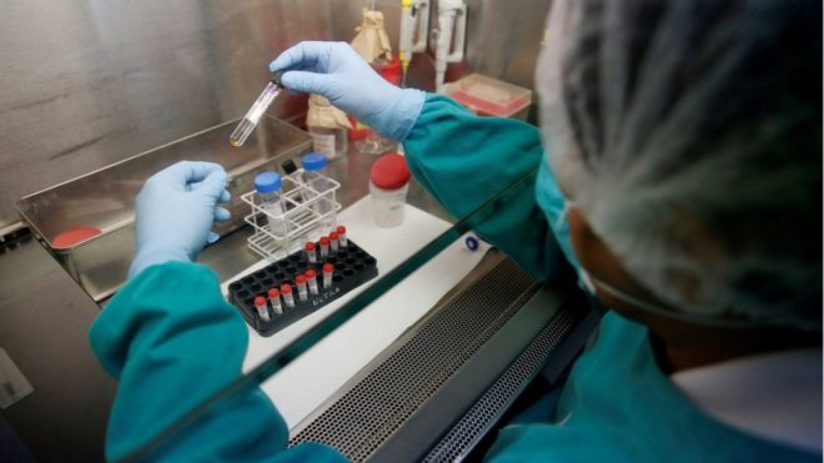 Британские ученые совершили прорыв в диагностике туберкулеза