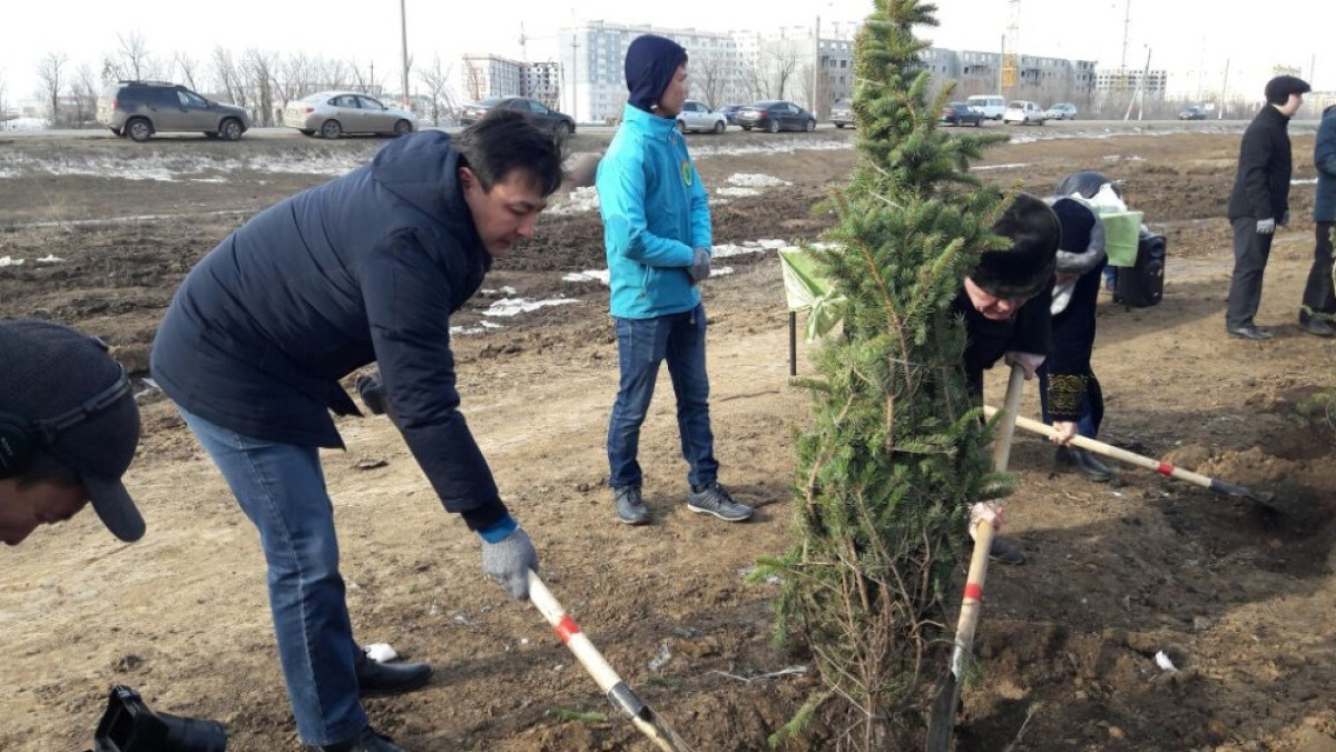 В Уральске к Наурызу высадили 300 деревьев