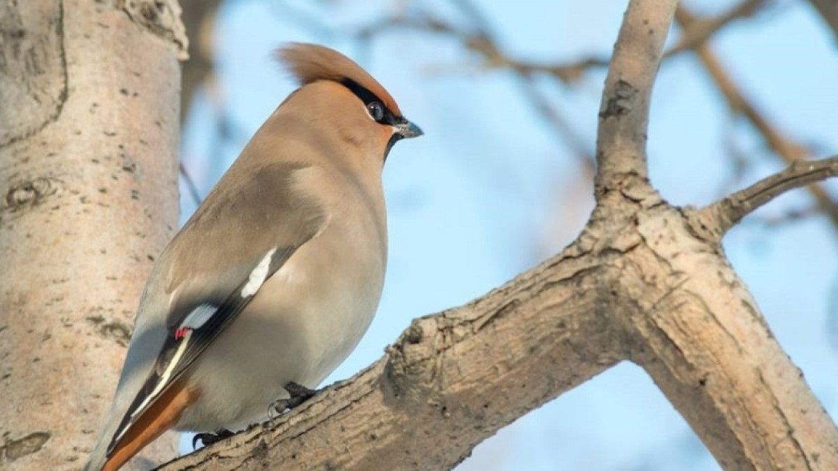 Владимир Крикун аккаунт в Facebook