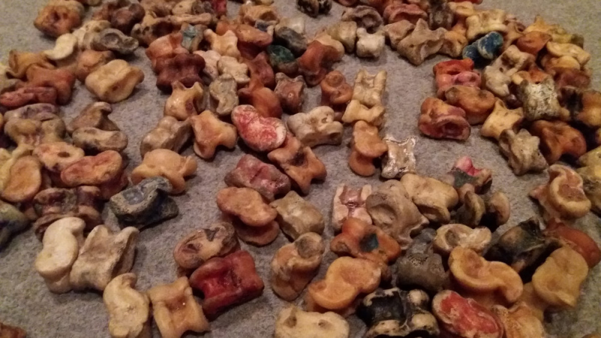 Раяна Кульбекова