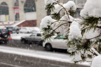 Зимняя сказка в преддверии Наурыза: Алматы накрыл снегопад