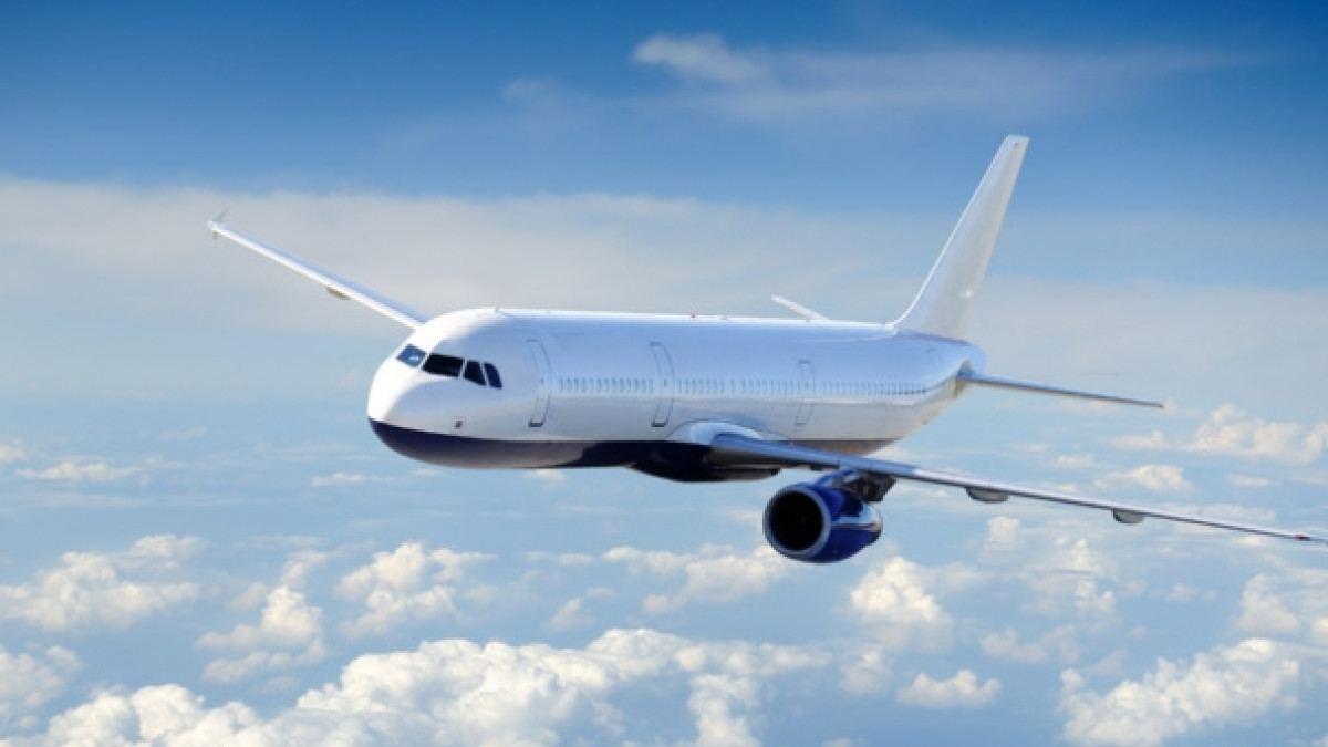 из открытых источников