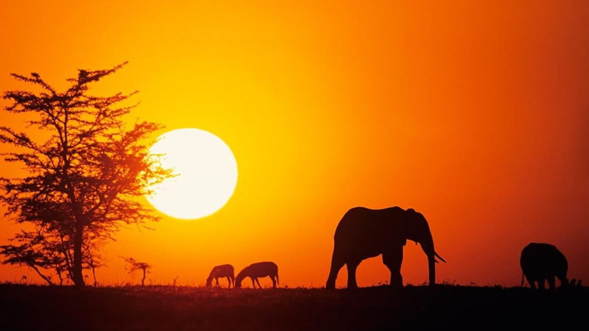 из свободных источников 