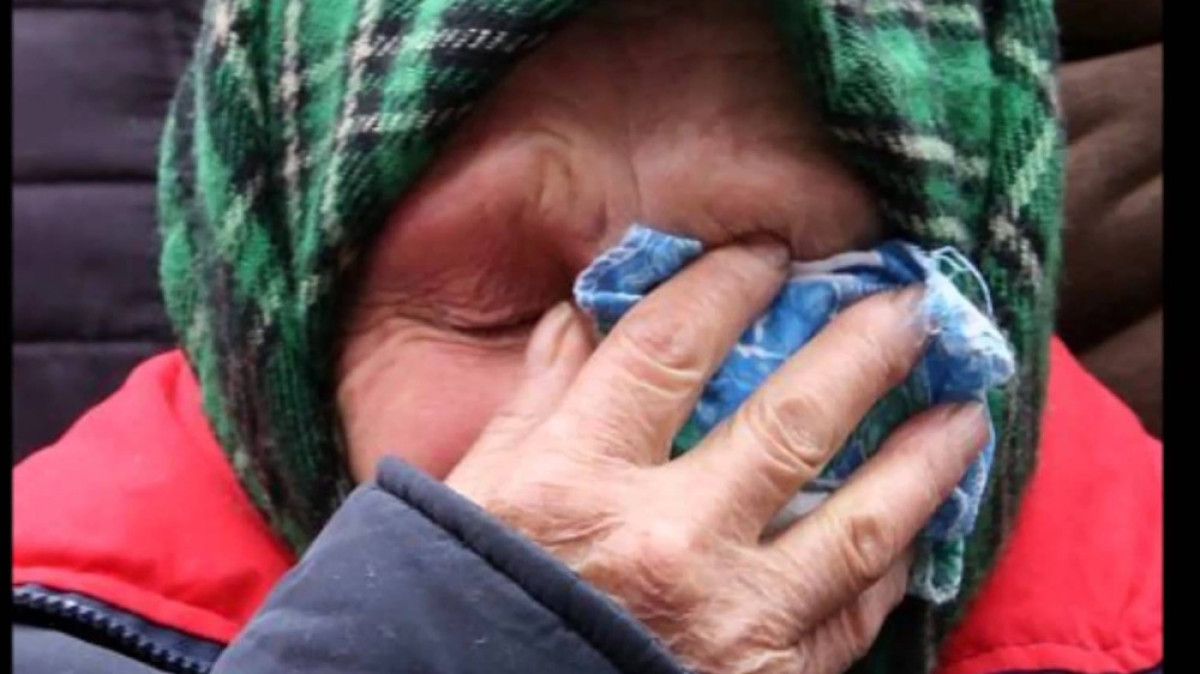 из свободных источников 