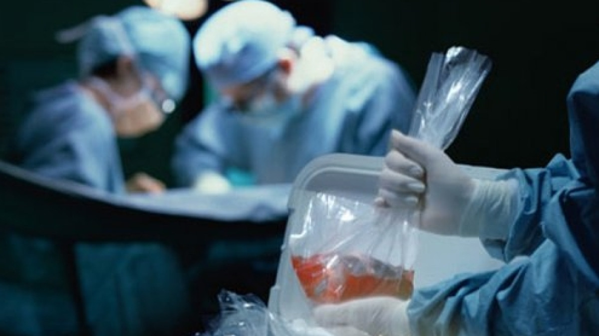 из свободных источников 