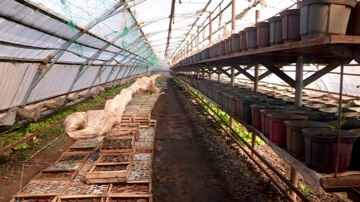 Мария Захарова