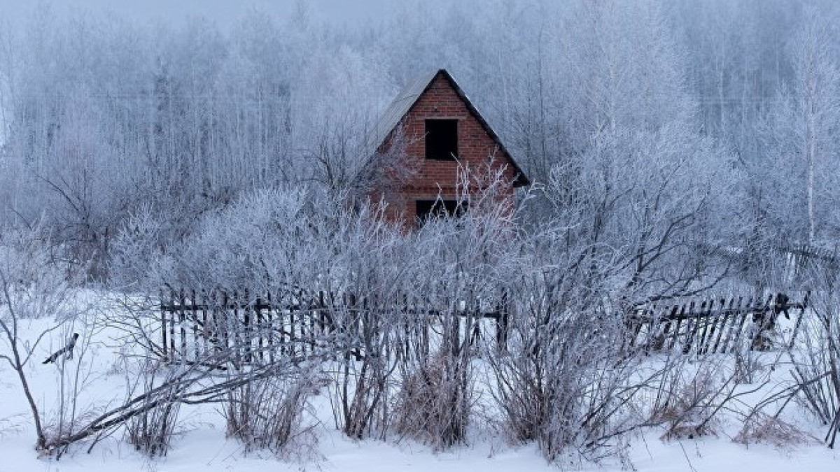 из свободных источников 