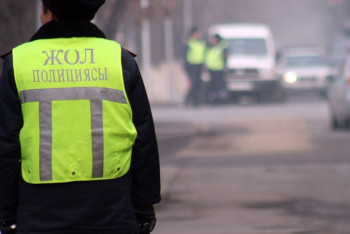 Полиция проверяет аудиозапись жителя Талдыкоргана со стражами порядка