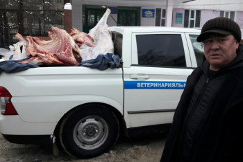 В ЗКО задержали более 250 скотокрадов