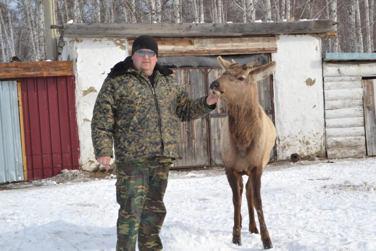 Светлана Боярская