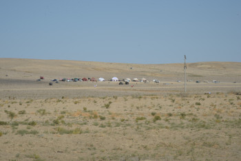 Около 60 тысяч гектаров орошаемых земель простаивает в Кызылординской области