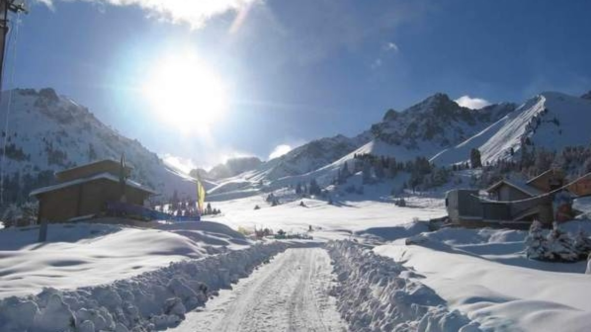 из свободных источников 