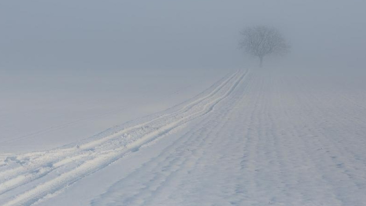 из свободных источников 
