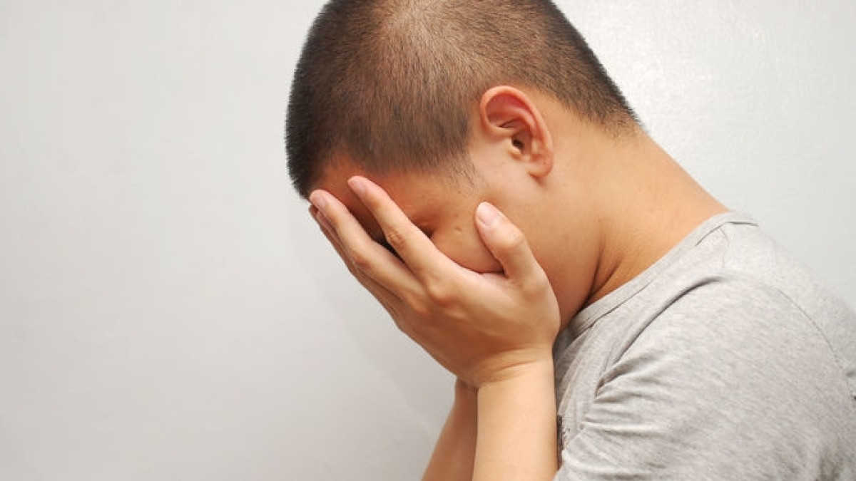 из свободных источников 