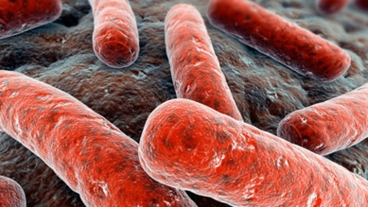 из открытых источников