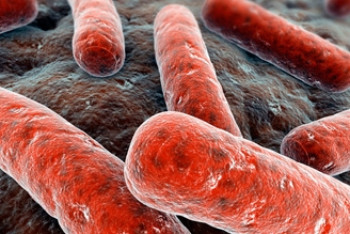 Центр ЗОЖ: Микобактерия Коха наиболее часто поражает легкие 