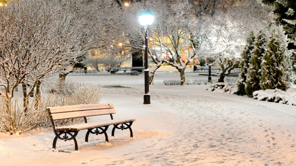 из открытых источников