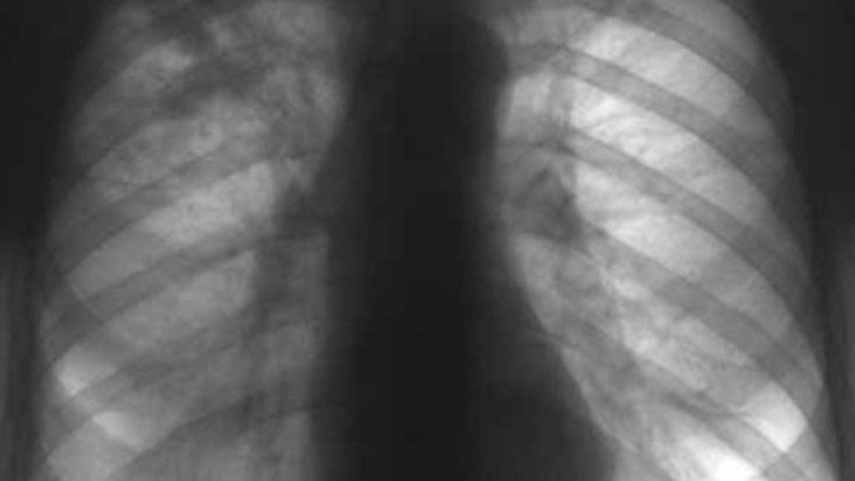 из свободных источников 