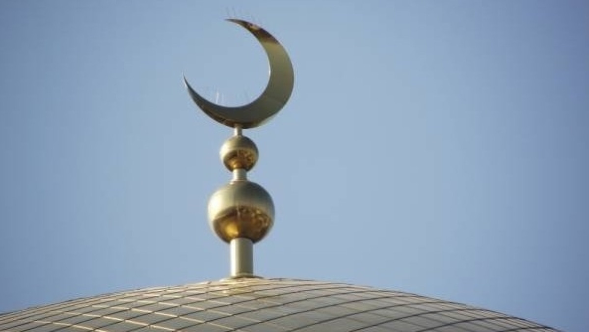 из свободных источников 