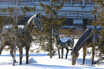 Фотография к новости: В субботу казахстанцев ожидает снег и гололед