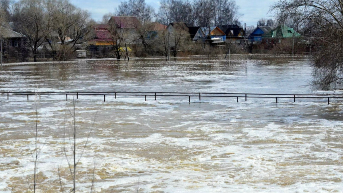 из открытых источников