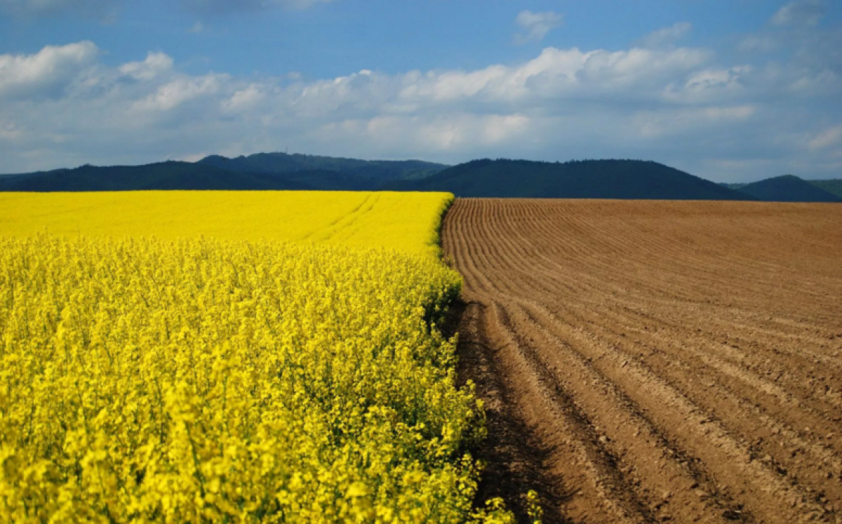 из свободных источников 