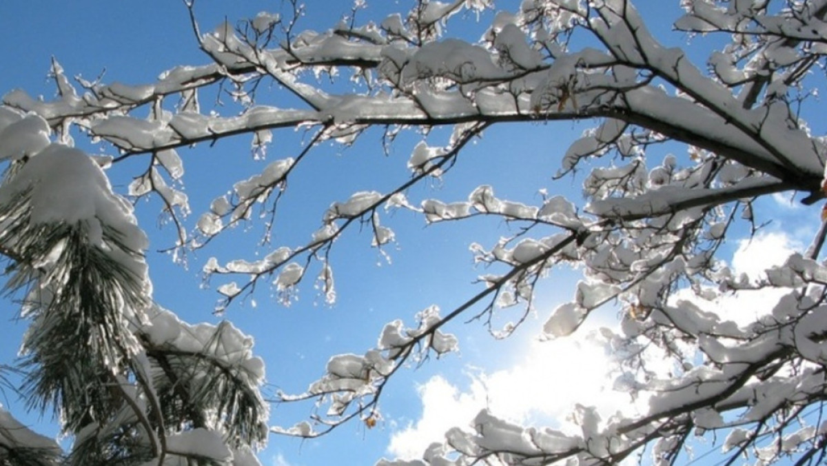 из открытых источников