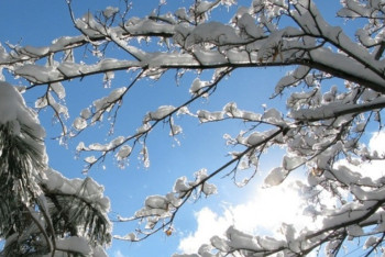 Фотография к новости: Завтра в нескольких регионах Казахстана ожидается потепление