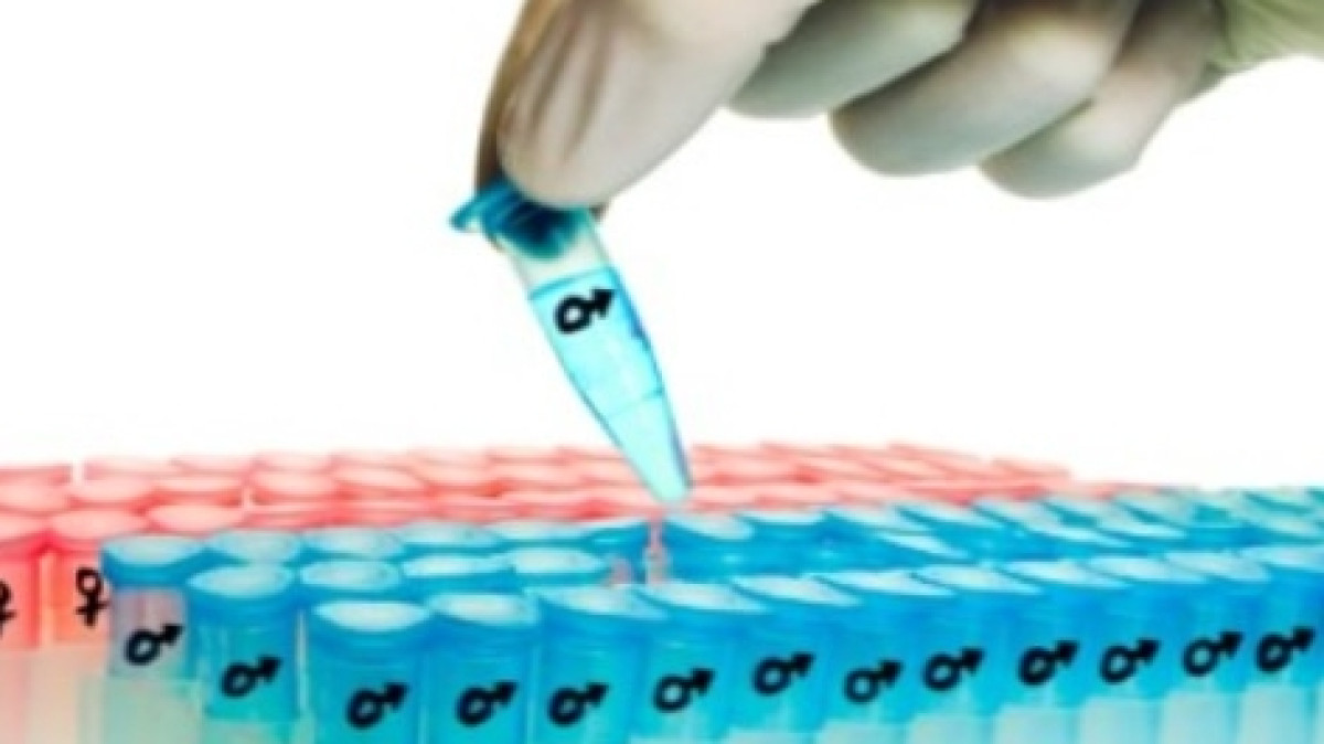 из свободных источников 