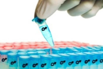 Фотография к новости: В Актобе растет число бесплодных пар