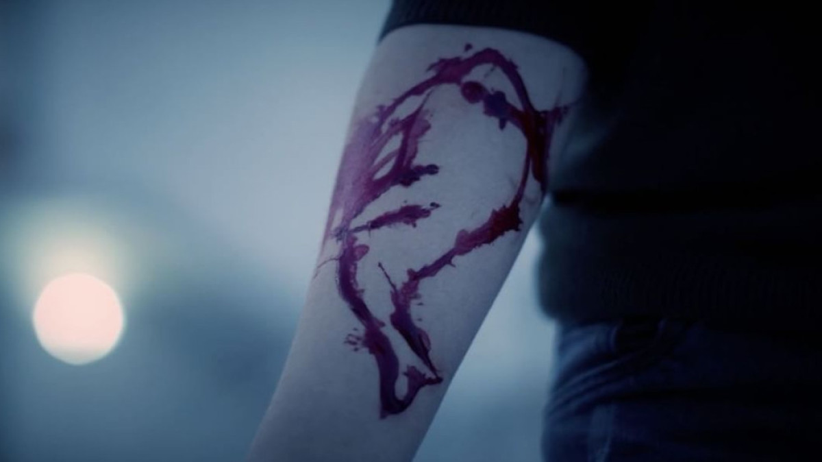 Фото: из открытых источников 