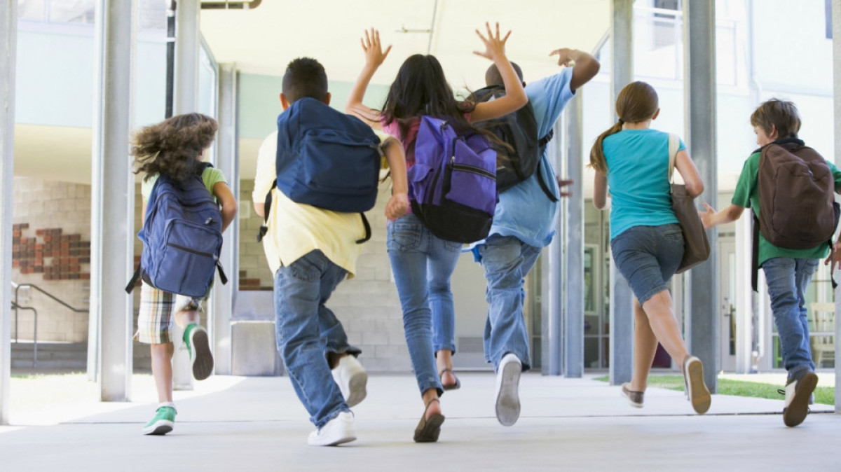 из открытых источников