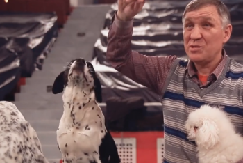 Фотография к новости: Циркач Азильбек Болатов: Никто не знает, что творится у клоуна в душе (ВИДЕО)