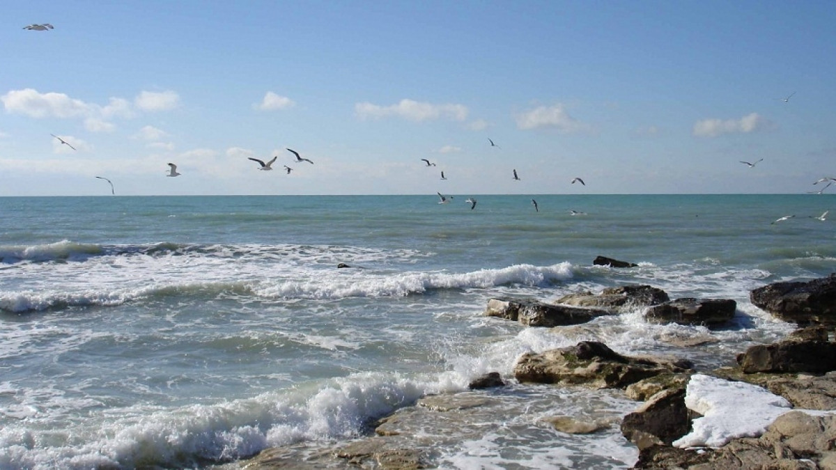 из открытых источников