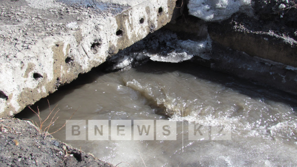 Алла Радченко