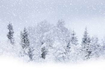 Фотография к новости: В воскресенье в Казахстане ожидаются снегопады и метели