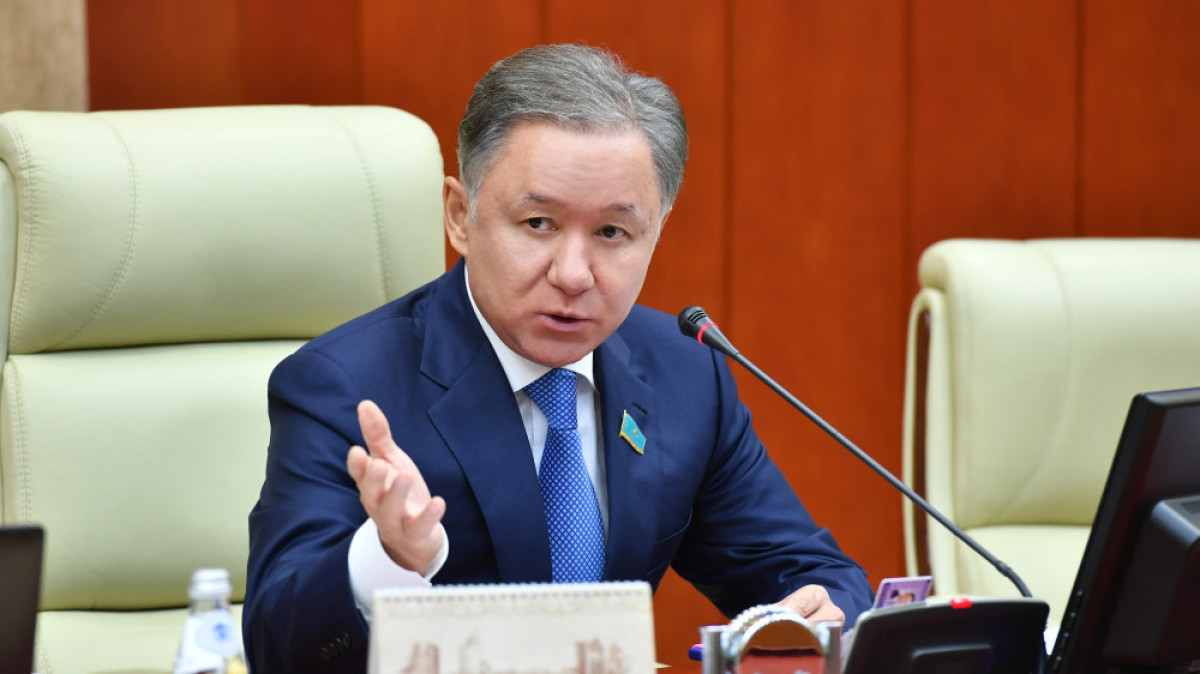 Н.Нигматулин раскритиковал законопроект о местном самоуправлении