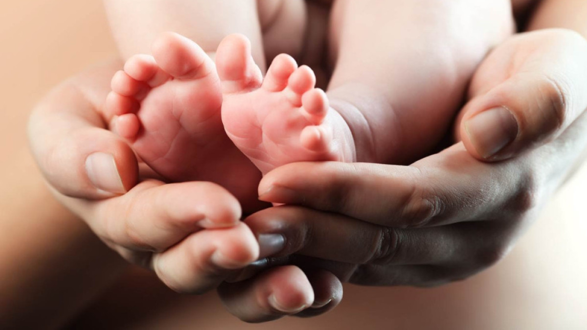 из открытых источников