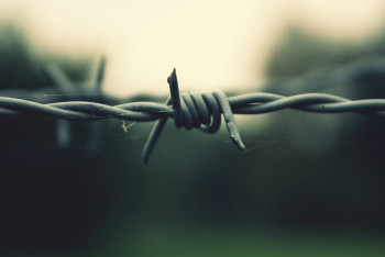 В Уральске сотрудников колонии обвинили в пытках осужденных