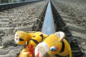 Школьника убило током на ж/д путях в Атбасаре