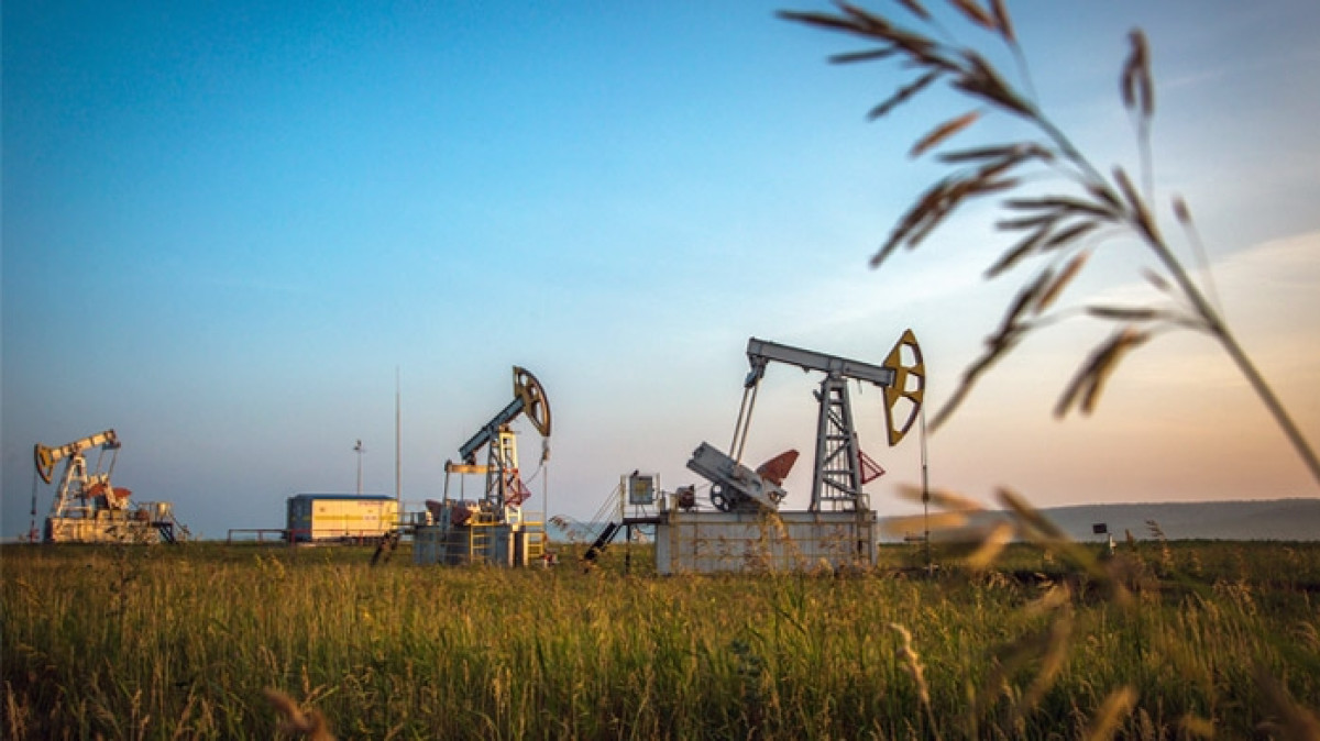 из открытых источников