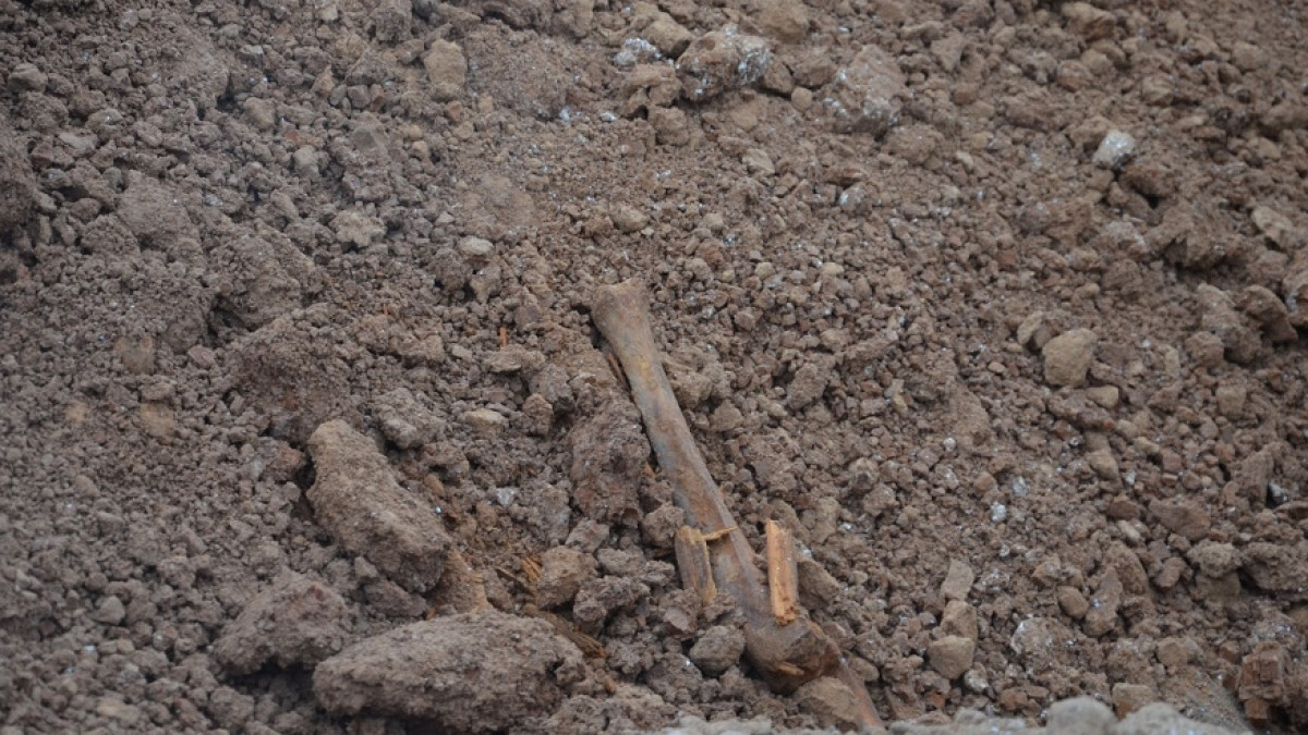 Сергей Романов