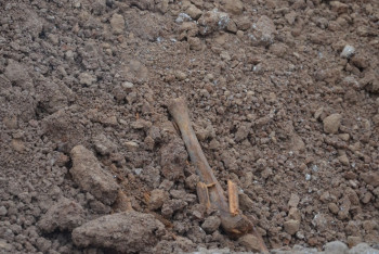 Фотография к новости: В Уральске строительство ледовой арены приостановили из-за найденных человеческих останков