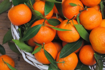 Фотография к новости: МНЭ РК опроверг слухи о «зараженных» китайских мандаринах