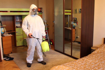 Фотография к новости: За травлю клопов жителям Мангистау грозит уголовная ответственность