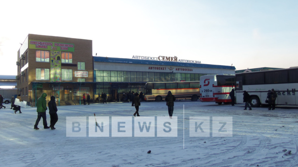 Алла Радченко