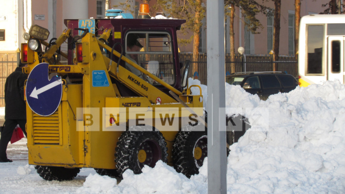 Алла Радченко