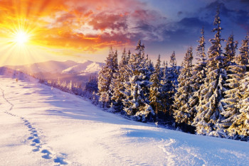 Фотография к новости: В чем особенность зимнего солнцестояния или самого короткого дня в году (ФОТО)