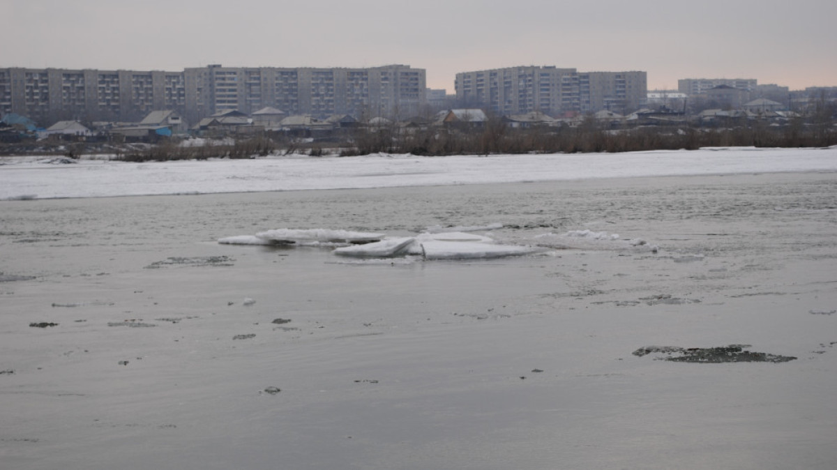 Алла Радченко