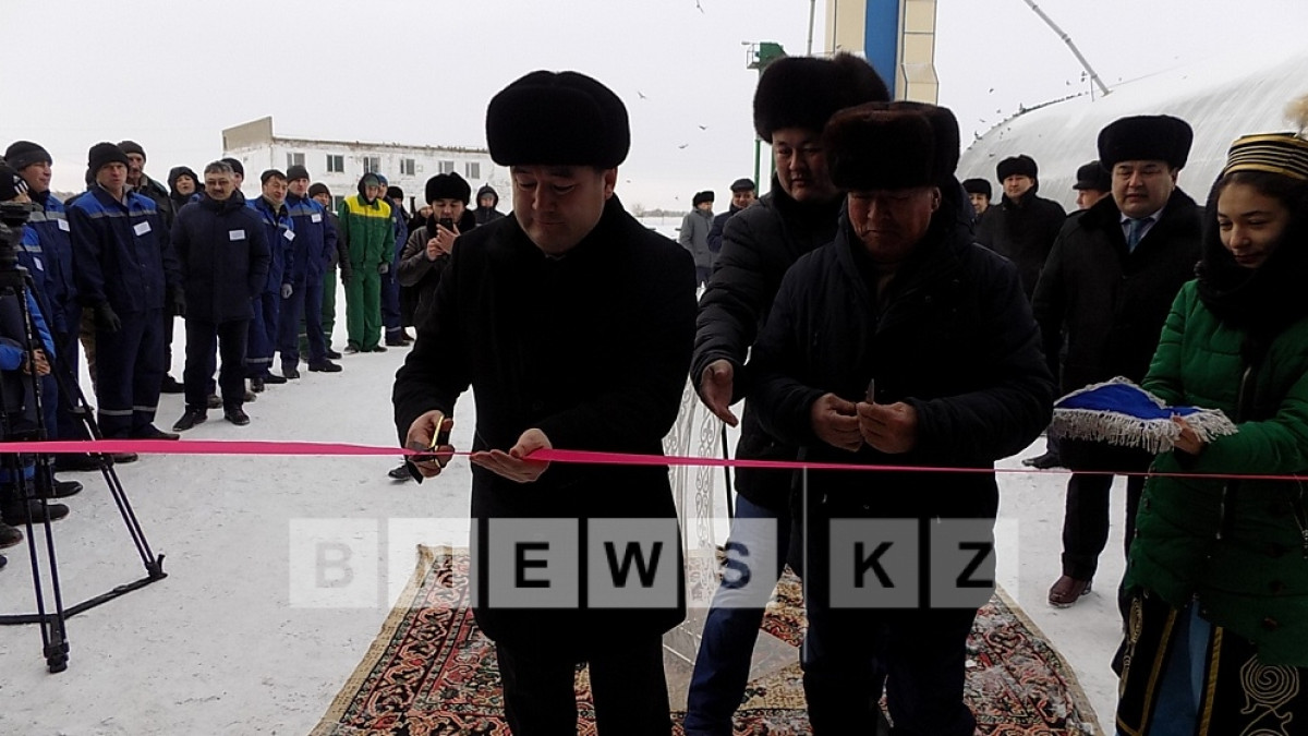 Асель Турар